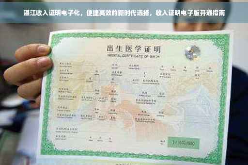 湛江收入证明电子化，便捷高效的新时代选择，收入证明电子版开通指南