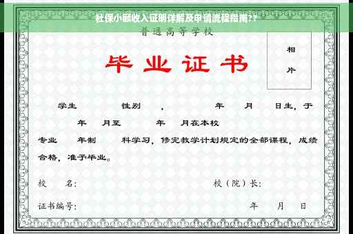 社保小额收入证明详解及申请流程指南??