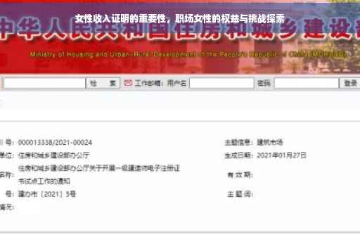 女性收入证明的重要性，职场女性的权益与挑战探索