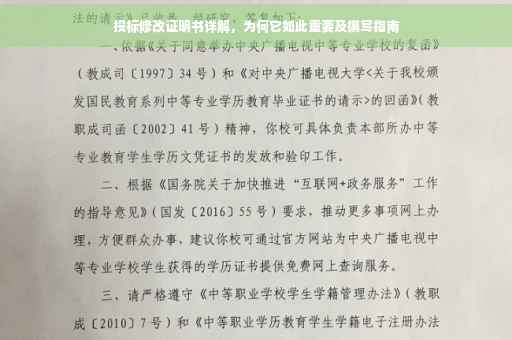 投标修改证明书详解，为何它如此重要及撰写指南