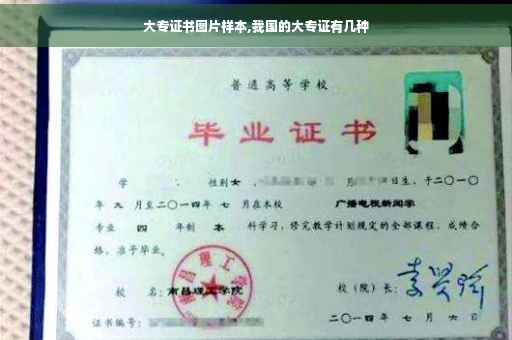 大专证书图片样本,我国的大专证有几种