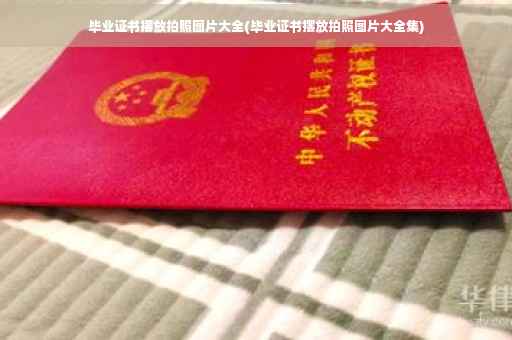 毕业证书摆放拍照图片大全(毕业证书摆放拍照图片大全集)