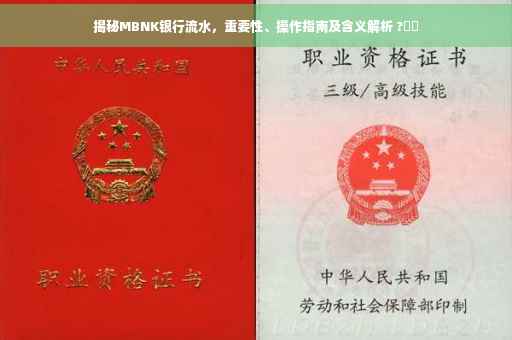 揭秘MBNK银行流水，重要性、操作指南及含义解析 ?⚡️