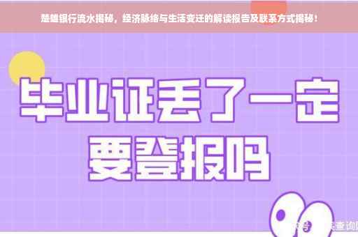 楚雄银行流水揭秘，经济脉络与生活变迁的解读报告及联系方式揭秘！