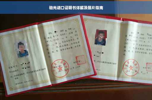 验光进口证明书详解及图片指南