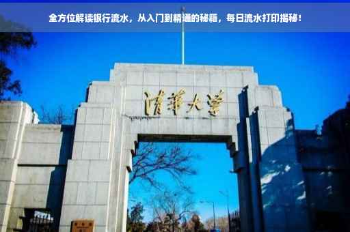 全方位解读银行流水，从入门到精通的秘籍，每日流水打印揭秘！