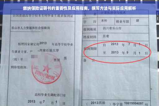 缴纳保险证明书的重要性及应用指南，撰写方法与实际应用解析