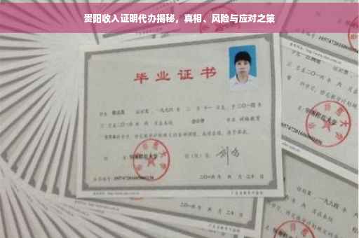 贵阳收入证明代办揭秘，真相、风险与应对之策