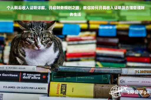 个人税后收入证明详解，开启财务规划之旅，教你如何开具收入证明及合理管理财务生活