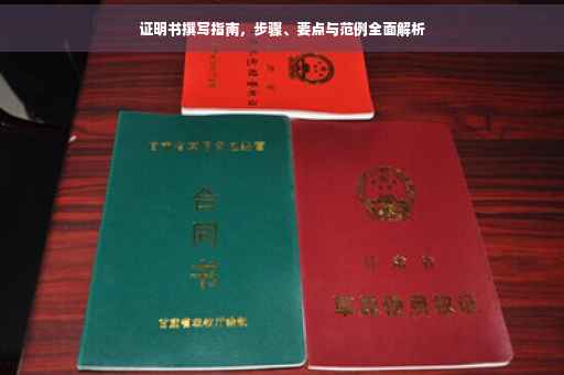 证明书撰写指南，步骤、要点与范例全面解析