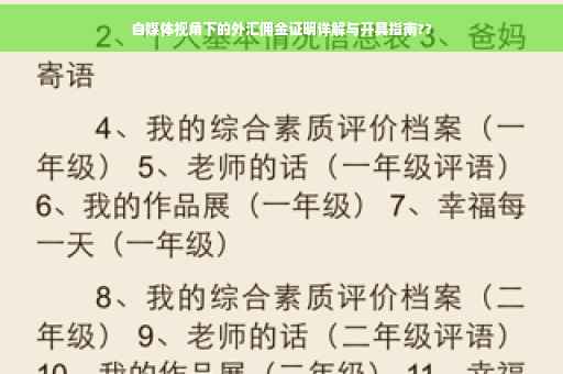 自媒体视角下的外汇佣金证明详解与开具指南??