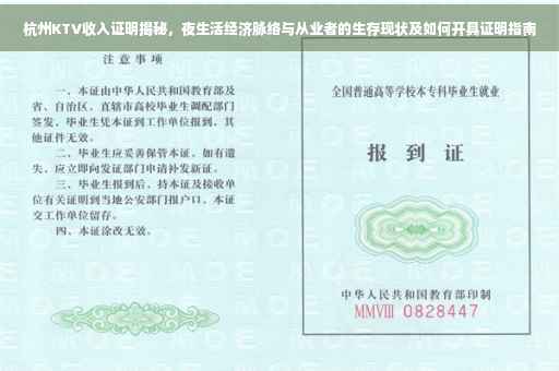 杭州KTV收入证明揭秘，夜生活经济脉络与从业者的生存现状及如何开具证明指南