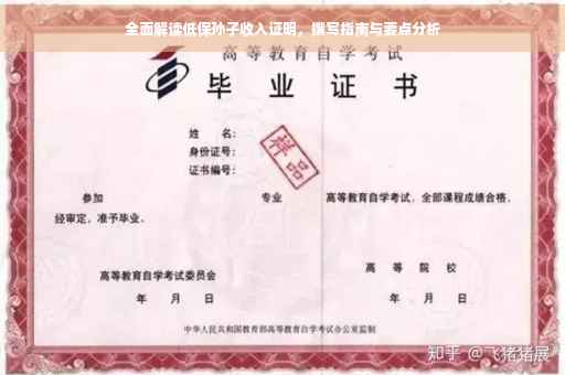 全面解读低保孙子收入证明，撰写指南与要点分析