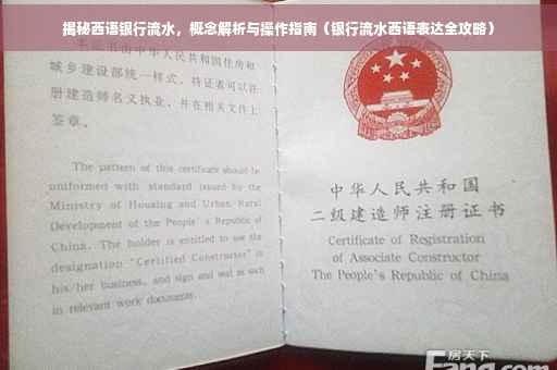 揭秘西语银行流水，概念解析与操作指南（银行流水西语表达全攻略）