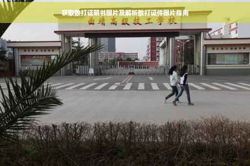 获取散打证明书图片及解析散打证件图片指南