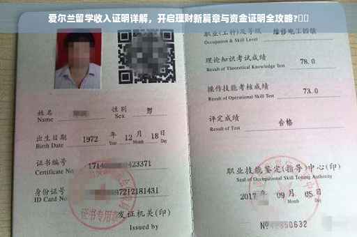 爱尔兰留学收入证明详解，开启理财新篇章与资金证明全攻略?⚡️