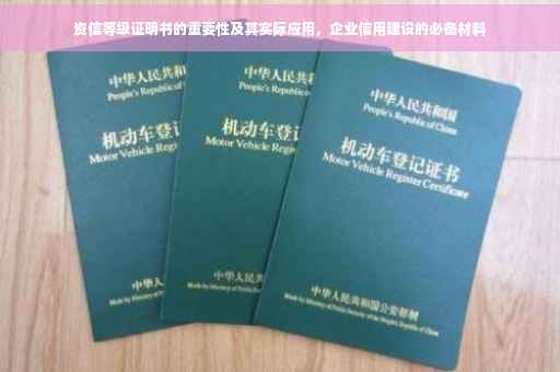 资信等级证明书的重要性及其实际应用，企业信用建设的必备材料