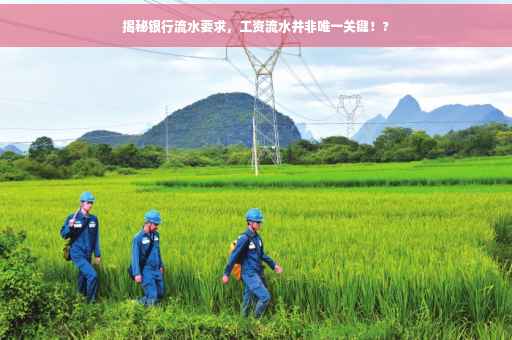 揭秘银行流水要求，工资流水并非唯一关键！?