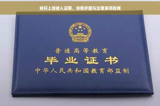 如何上传收入证明，详细步骤与注意事项指南