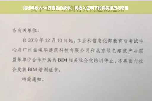 揭秘年收入50万背后的故事，高收入证明下的真实经历与感悟