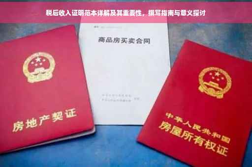 税后收入证明范本详解及其重要性，撰写指南与意义探讨