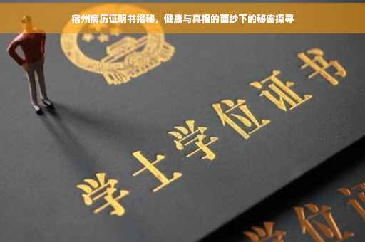 宿州病历证明书揭秘，健康与真相的面纱下的秘密探寻