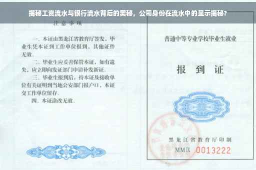 揭秘工资流水与银行流水背后的奥秘，公司身份在流水中的显示揭秘?