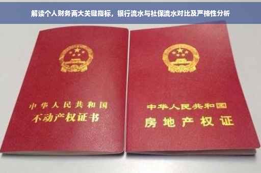 解读个人财务两大关键指标，银行流水与社保流水对比及严格性分析