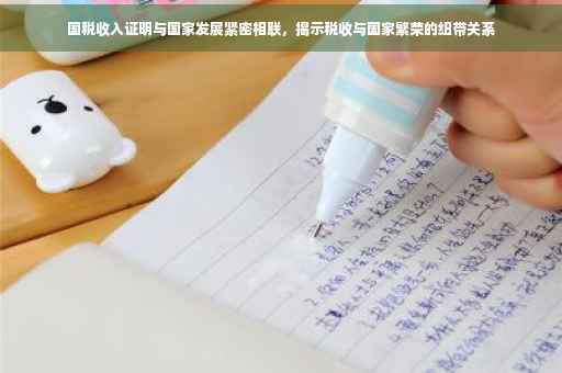 国税收入证明与国家发展紧密相联，揭示税收与国家繁荣的纽带关系