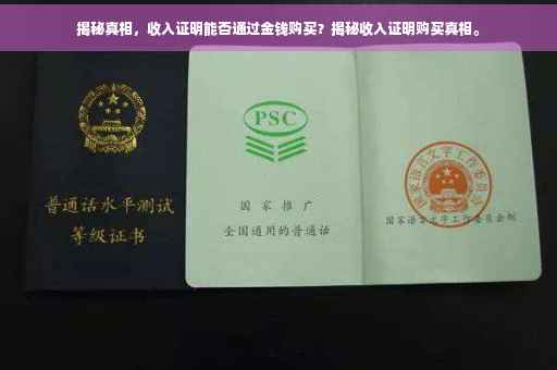 揭秘真相，收入证明能否通过金钱购买？揭秘收入证明购买真相。