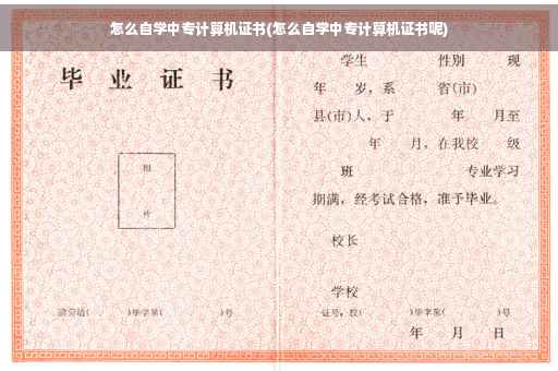 怎么自学中专计算机证书(怎么自学中专计算机证书呢)