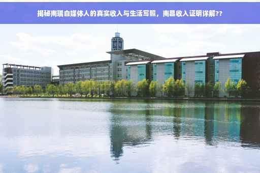 揭秘南瑞自媒体人的真实收入与生活写照，南昌收入证明详解??