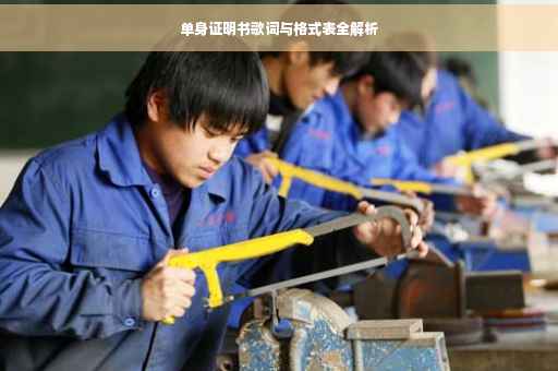 单身证明书歌词与格式表全解析