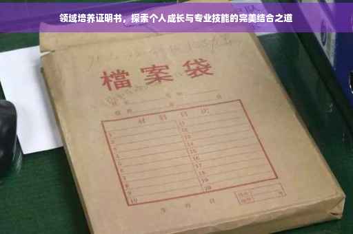 领域培养证明书，探索个人成长与专业技能的完美结合之道