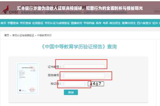 汇丰银行涉嫌伪造收入证明真相揭秘，犯罪行为的全面剖析与模板曝光