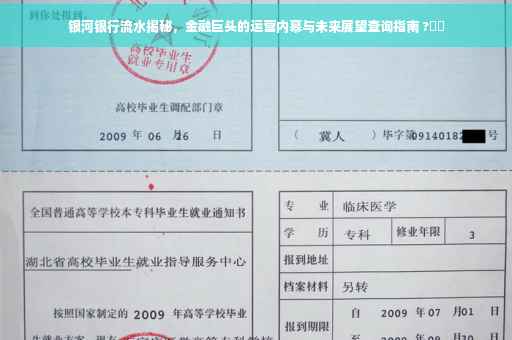 银河银行流水揭秘，金融巨头的运营内幕与未来展望查询指南 ?⚡️