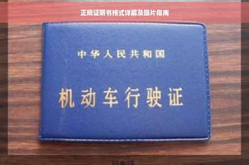 正规证明书格式详解及图片指南