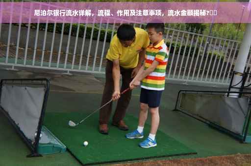 尼泊尔银行流水详解，流程、作用及注意事项，流水金额揭秘?⚡️