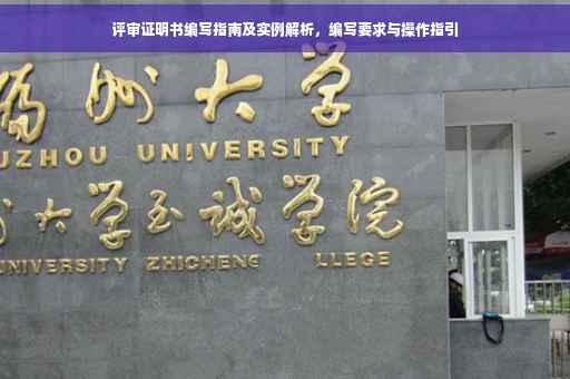 评审证明书编写指南及实例解析，编写要求与操作指引