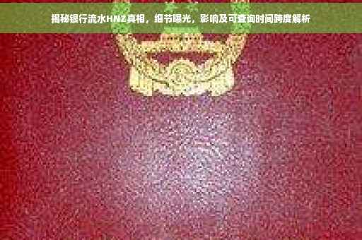 揭秘银行流水HNZ真相，细节曝光，影响及可查询时间跨度解析