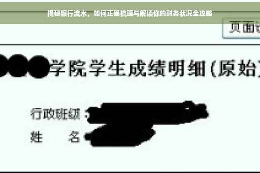 揭秘银行流水，如何正确梳理与解读你的财务状况全攻略