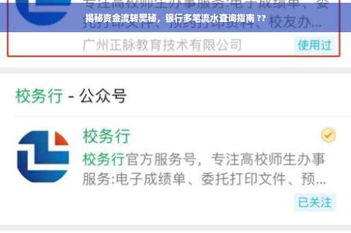揭秘资金流转奥秘，银行多笔流水查询指南 ??