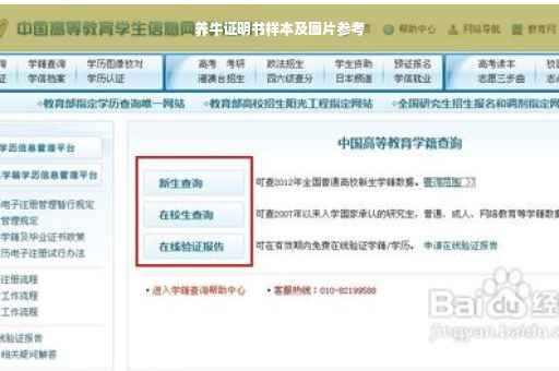养牛证明书样本及图片参考
