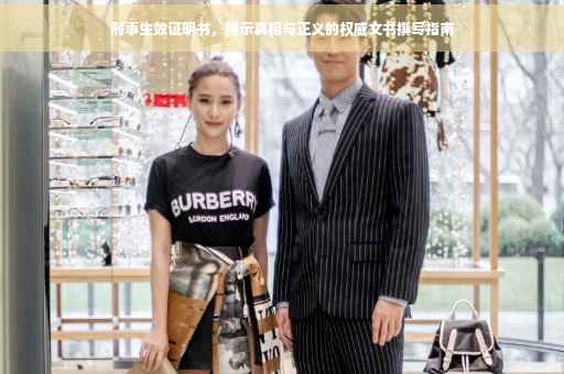 刑事生效证明书，揭示真相与正义的权威文书撰写指南