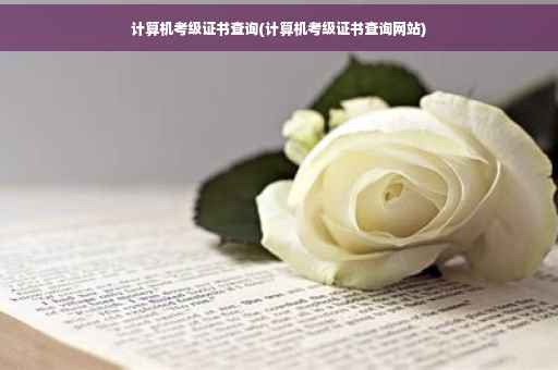 计算机考级证书查询(计算机考级证书查询网站)