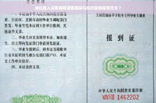 单位收入证明真相调查揭秘与应对策略报告范文 ?