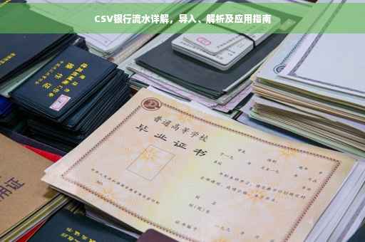 CSV银行流水详解，导入、解析及应用指南