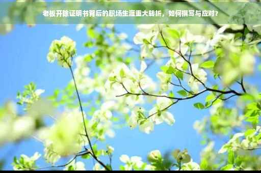 老板开除证明书背后的职场生涯重大转折，如何撰写与应对？