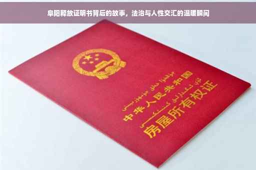 阜阳释放证明书背后的故事，法治与人性交汇的温暖瞬间