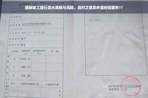 揭秘加工银行流水真相与风险，应对之策及所需时间解析??